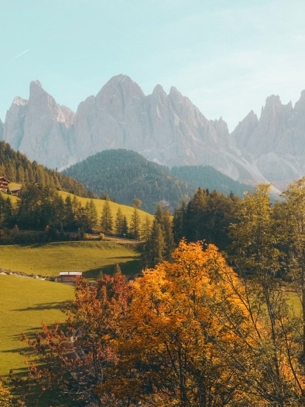 Full Access Upgrade Natures 02